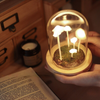 Mushroom Led Night Lamp