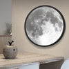 Dreamy Moon Mirror Lamp