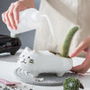 Cat Cactus Ceramic Flowerpot for indoor plants6