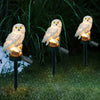 Solar Owl Night Light