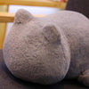 Cozy Cat Plush Cushion for Comfort1