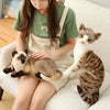 Real Look Cat Plush Toy