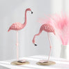 Standing Flamingo Set