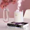 White/Pink Cat Air Humidifier