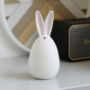 Ceramic White Rabbit
