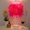 Feather Heart Shape Table Lamp